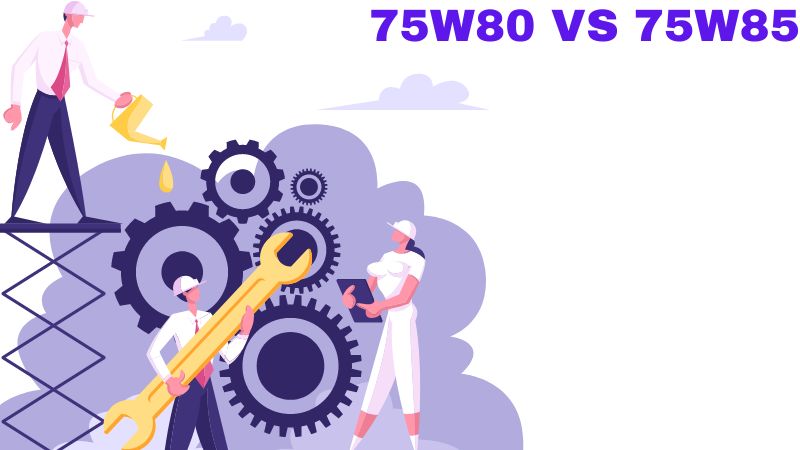 75W80 VS 75W85