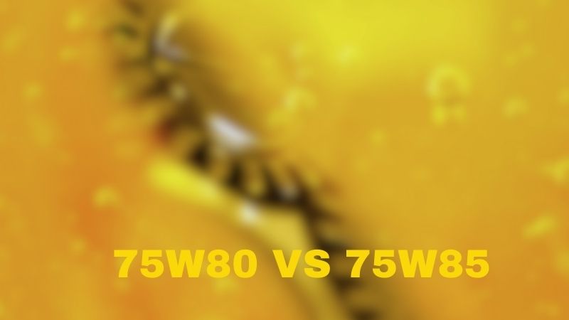 75W80 VS 75W85