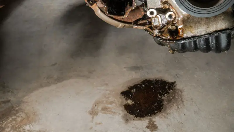 Harley Oil Leak Between Engine And Transmission