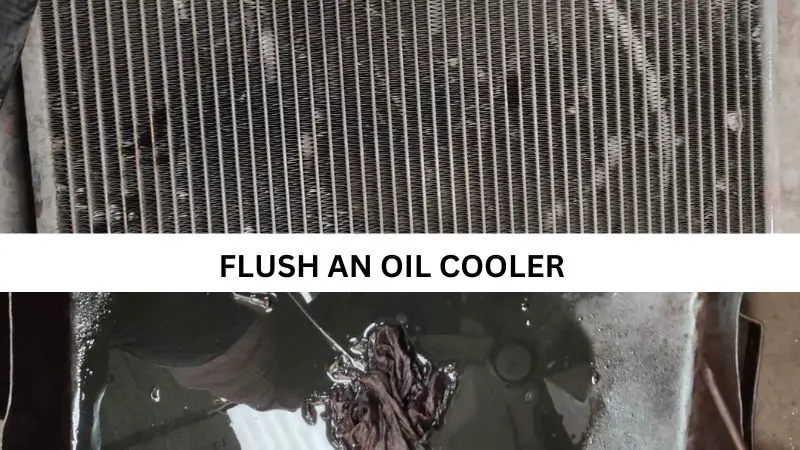 Lube Oil Cooler Cleaning