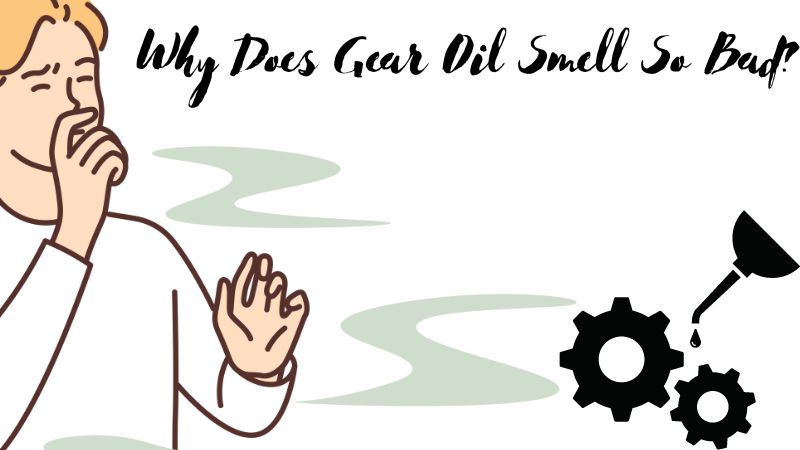 why-does-gear-oil-smell-so-bad-reasons-and-fix-take-your-oil